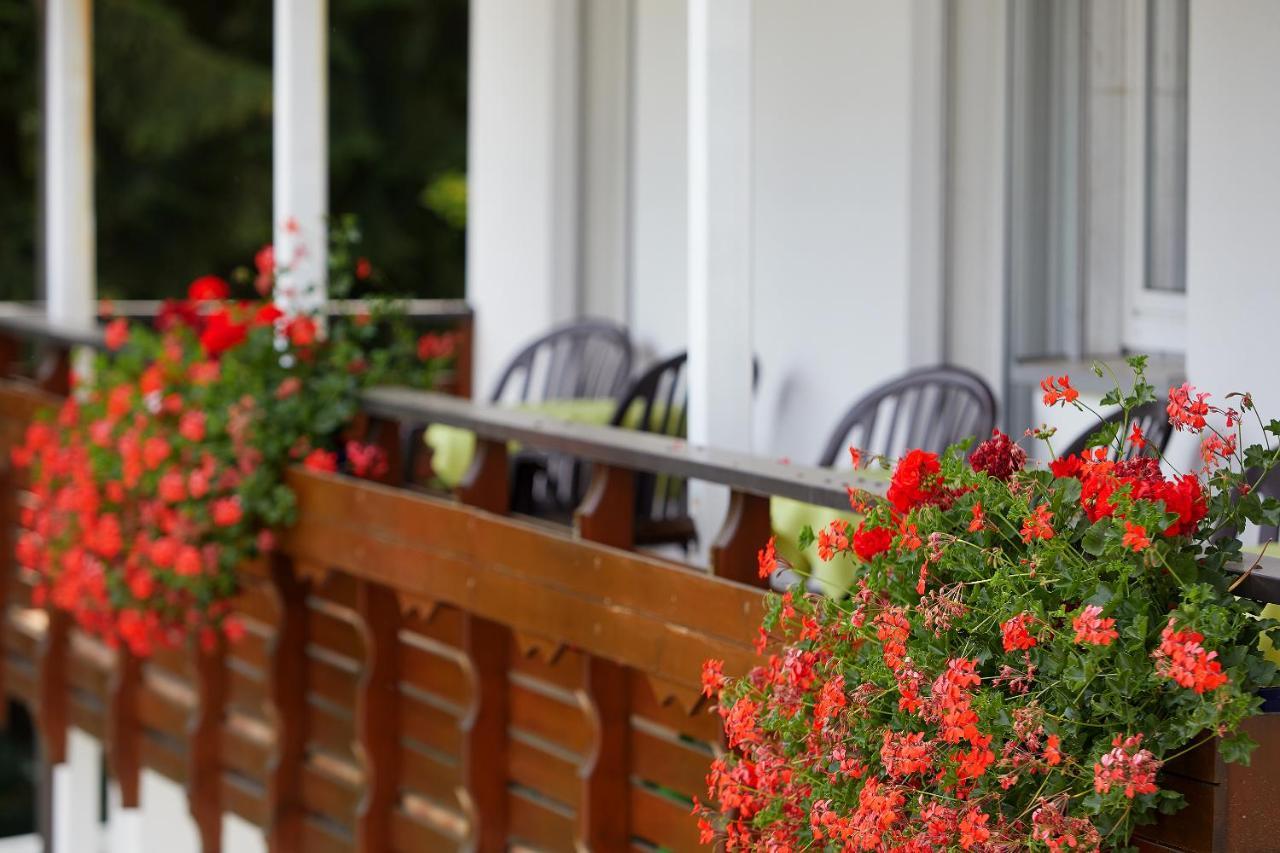 Tannmuehle Hotel Und Restaurant Gmbh Callenberg Exteriér fotografie