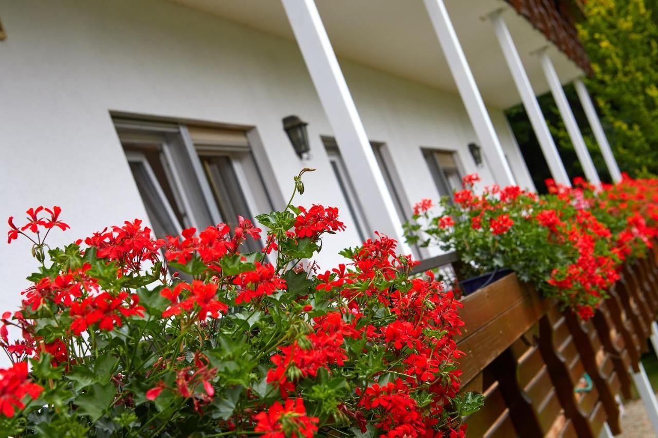 Tannmuehle Hotel Und Restaurant Gmbh Callenberg Exteriér fotografie